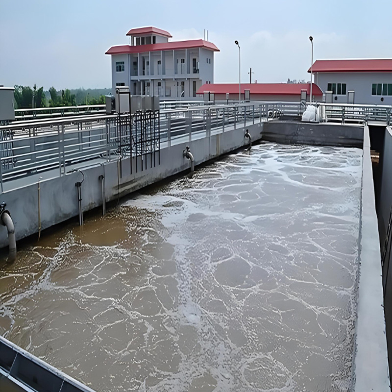 天然渾水的沉降可分為哪些？